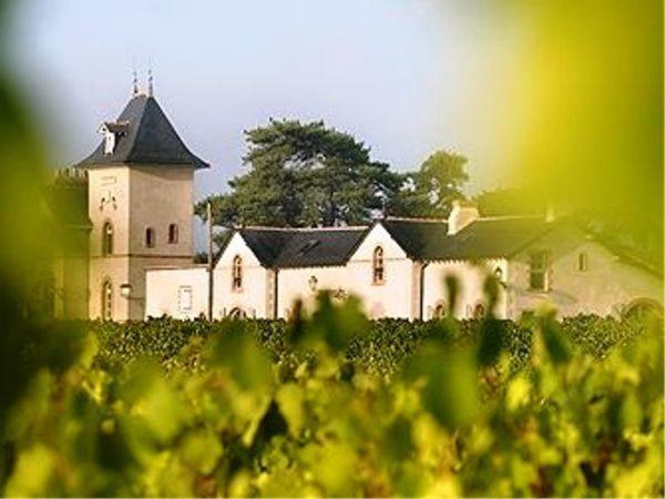 Domaine De La Soucherie - Chambres D'Hotes Beaulieu-sur-Layon Buitenkant foto