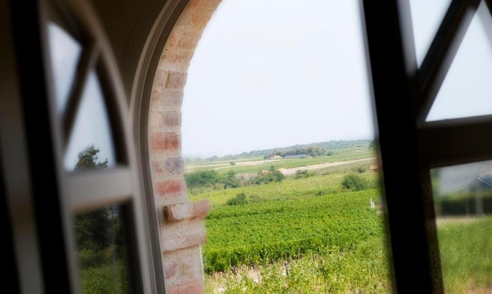 Domaine De La Soucherie - Chambres D'Hotes Beaulieu-sur-Layon Buitenkant foto