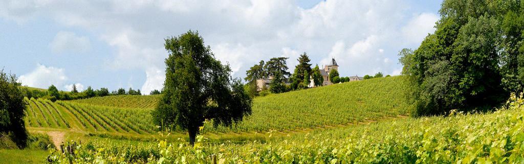 Domaine De La Soucherie - Chambres D'Hotes Beaulieu-sur-Layon Buitenkant foto