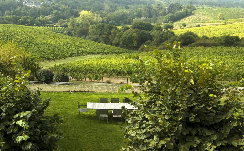 Domaine De La Soucherie - Chambres D'Hotes Beaulieu-sur-Layon Buitenkant foto