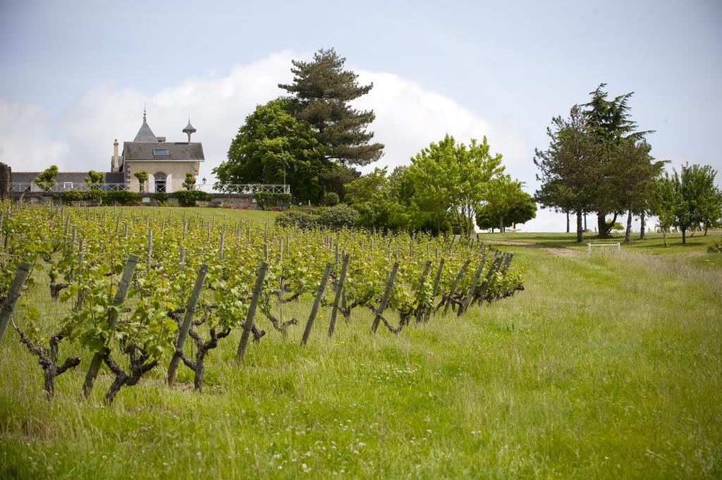 Domaine De La Soucherie - Chambres D'Hotes Beaulieu-sur-Layon Buitenkant foto