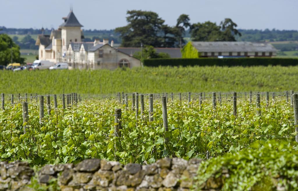 Domaine De La Soucherie - Chambres D'Hotes Beaulieu-sur-Layon Buitenkant foto