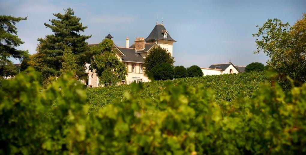 Domaine De La Soucherie - Chambres D'Hotes Beaulieu-sur-Layon Buitenkant foto